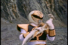 MMPR Mania's Avatar